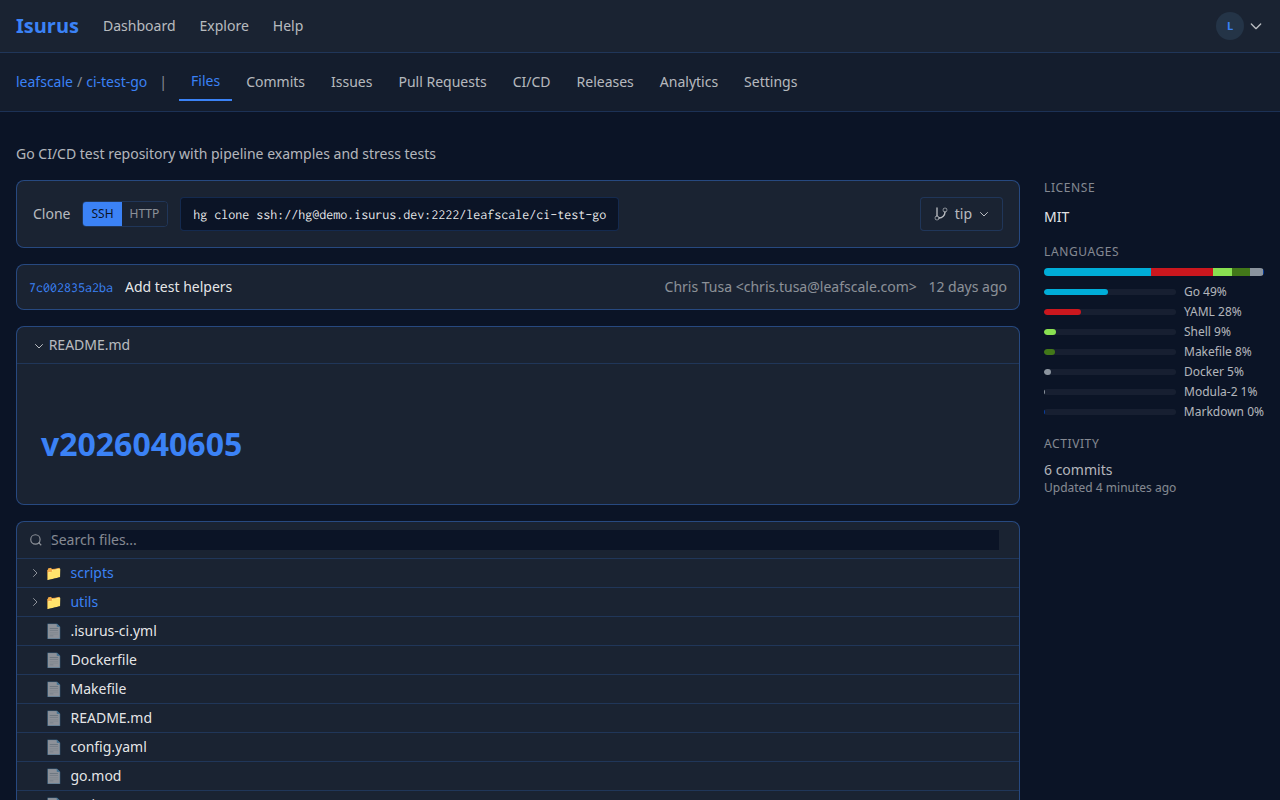 Repository View